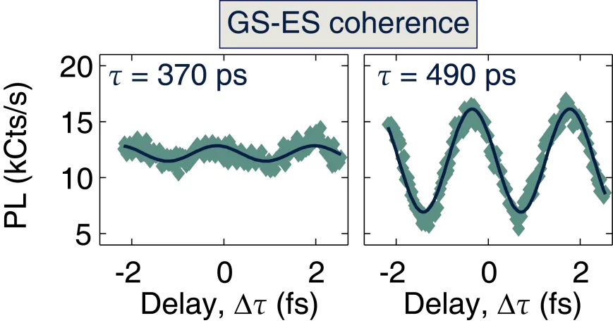 Ground-state to excited-state coherence measurements of a single NV center. Oscillating signals versus pulse delay reveal ultrafast coherent dynamics between spin and orbital states.