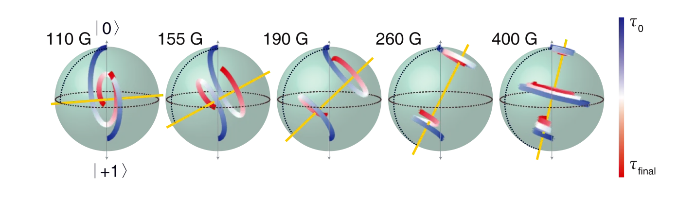 Bloch sphere representations of spin and orbital state evolution at different magnetic fields. Colored trajectories illustrate ultrafast coherent rotations and coupled spin-orbital dynamics in a single NV center.