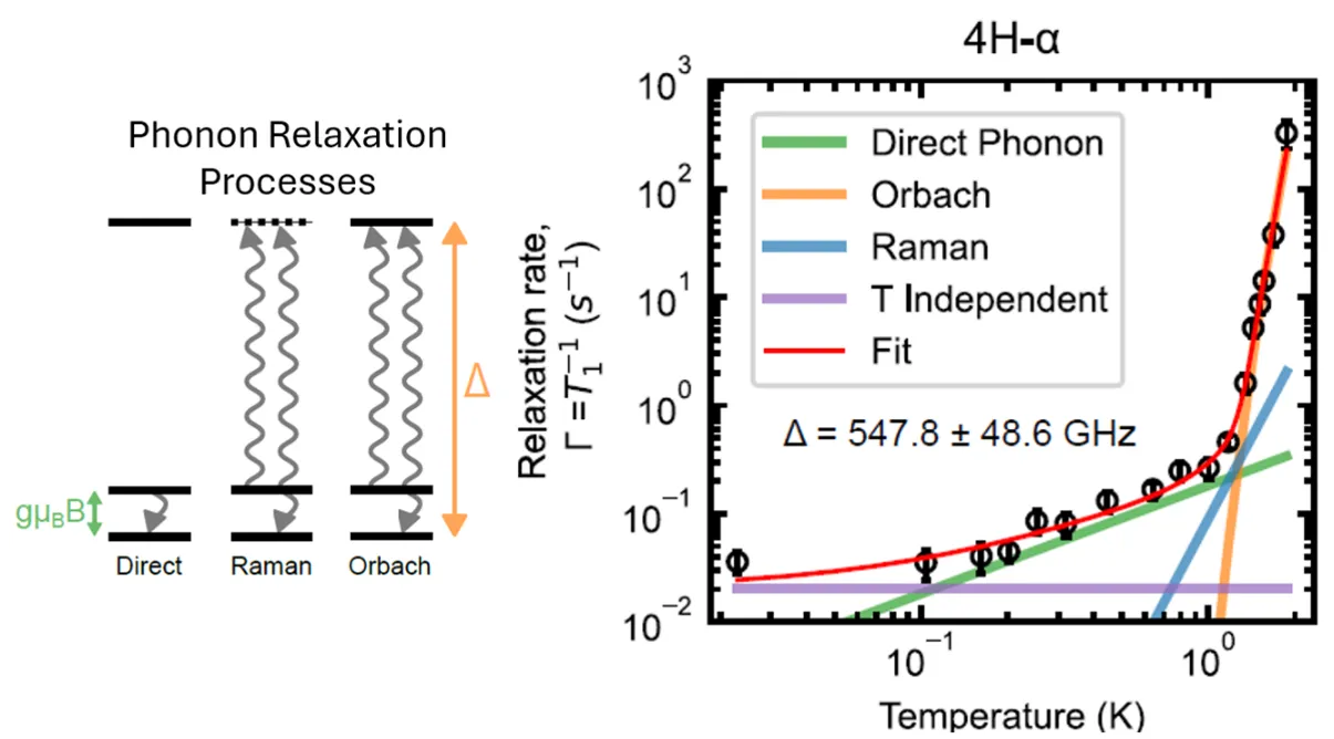 Spin relaxation mechanisms and temperature-dependent relaxation rates for vanadium defects in 4H-SiC. Left diagram illustrates direct phonon, Raman, and Orbach relaxation processes between spin states. Right graph shows measured and modeled relaxation rates increasing with temperature, identifying dominant phonon-driven decoherence pathways.
