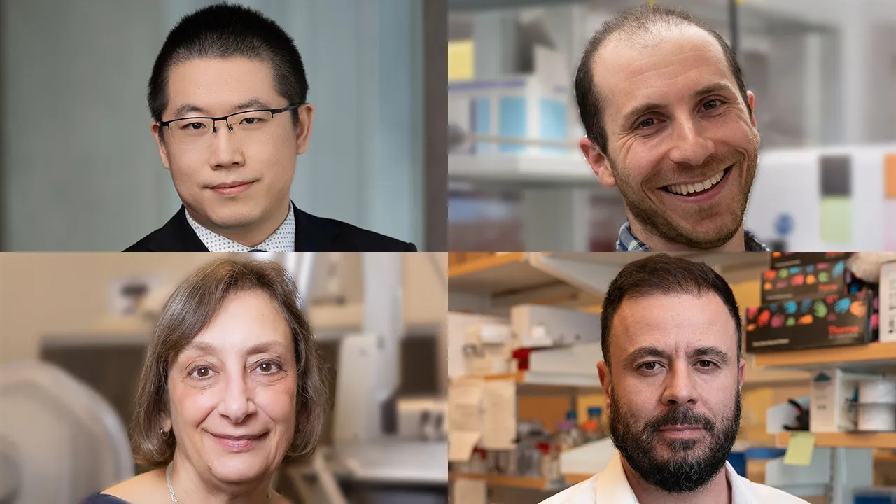 Block of four headshots of research scientists