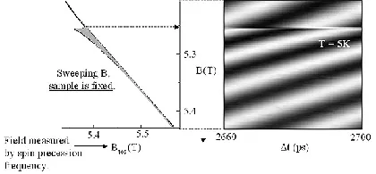 All-optical NMR measurement showing the effect of sample translation through a magnetic-field gradient. As the sample position changes, the local magnetic field and nuclear polarization vary, producing shifts in electron spin precession patterns measured by time-resolved Faraday rotation at 5 K.