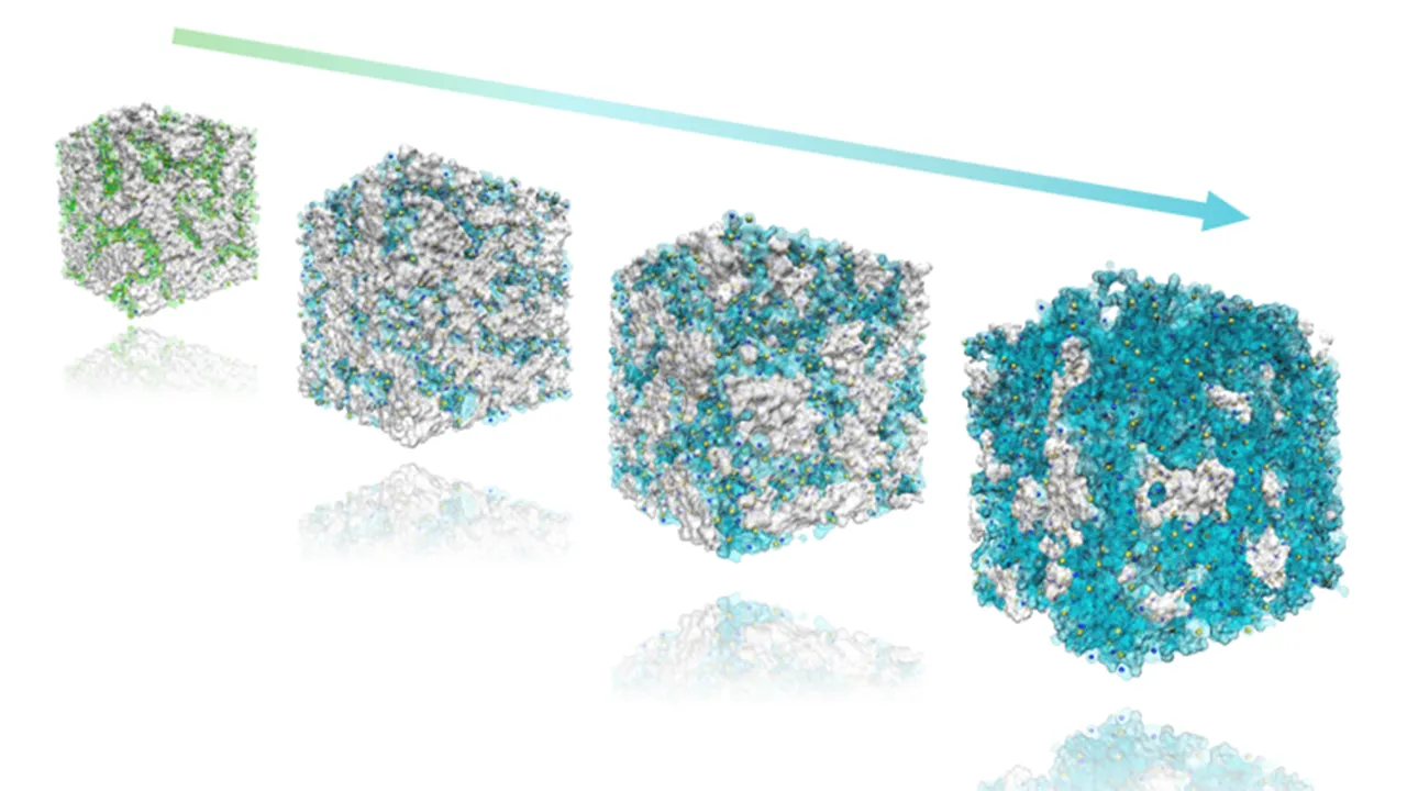 Illustration of molecular simulation